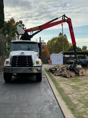 Bucket Truck tree removal carmichael rocklin ca